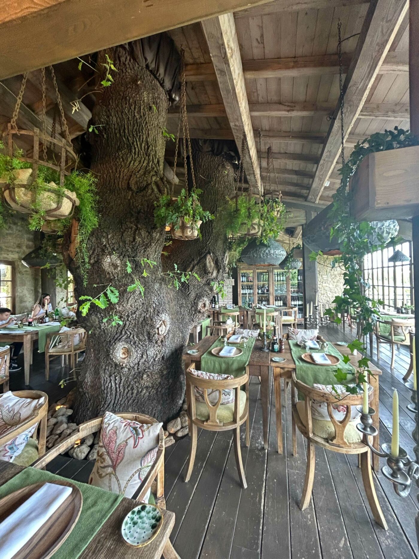 Die beeindruckende Eiche im Trattoria Sull'Albero schmiegt sich in das Gesamtbild ein (Foto: PR)