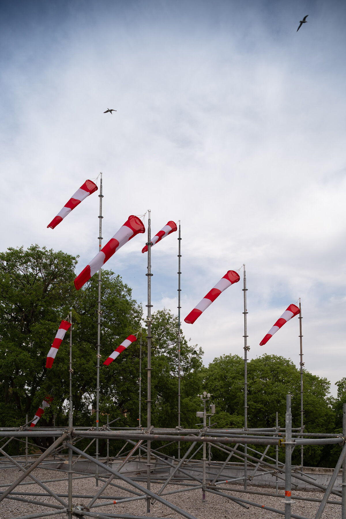 Ein Schwarm aus Windhosen macht die Luft sichtbar. (Foto: STRESSTEST PR)