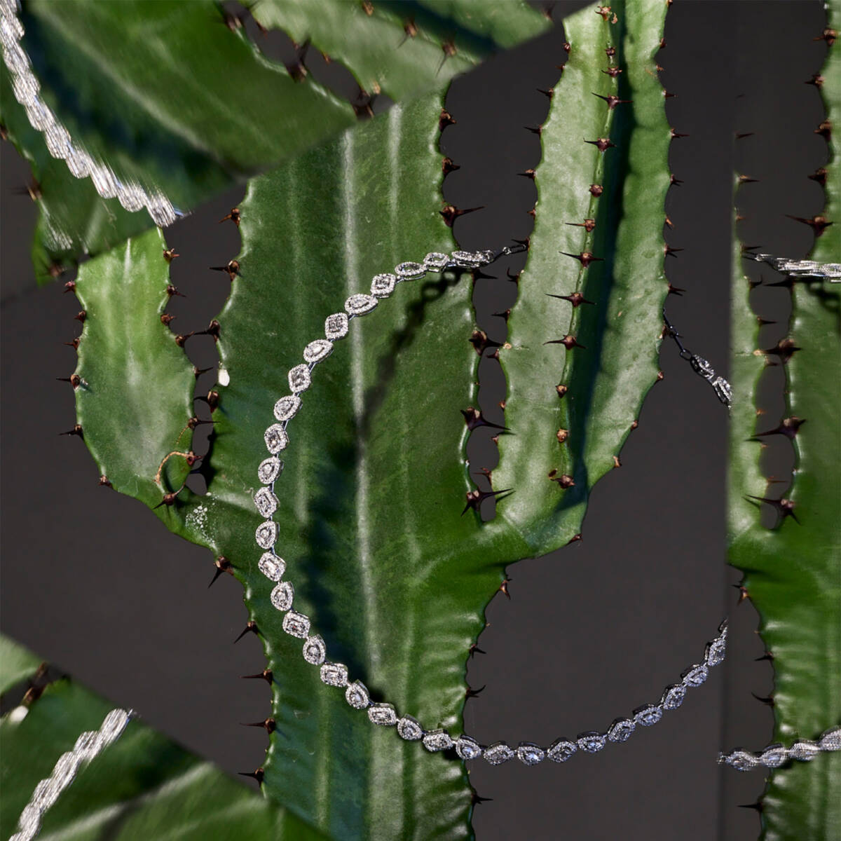 Biostimulatoren sind Substanzen, die die Haut dazu anregen, sich von innen heraus zu regenerieren, die körpereigene Wachstumsfaktoren unterstützen und so vor allem die Kollagenproduktion in den Zell. (Foto: Benjamin Kaufmann)